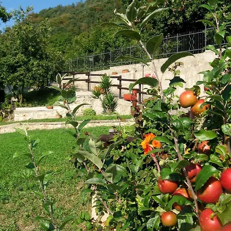 فندق مبيت وإفطار Le Fiorini غارنانو