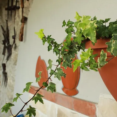 Bed & Breakfast Le Fiorini Gargnano