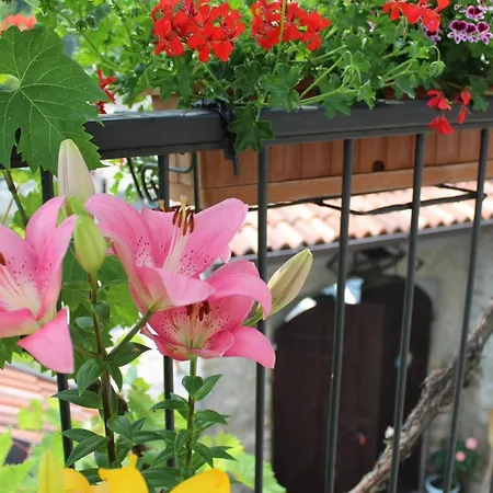 Le Fiorini