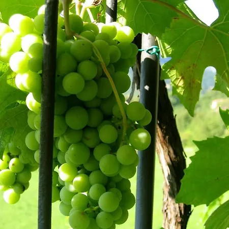 Bed & Breakfast Le Fiorini *