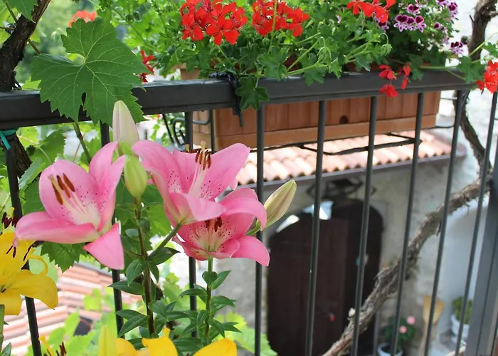 Le Fiorini